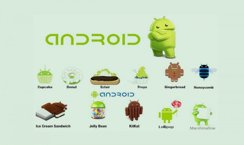 Everything You Need to Know About The Android Operating System