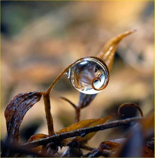 colorful rain drops