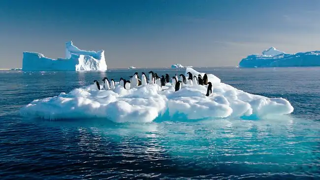 antarctic sea ice Antarctic Sea Ice