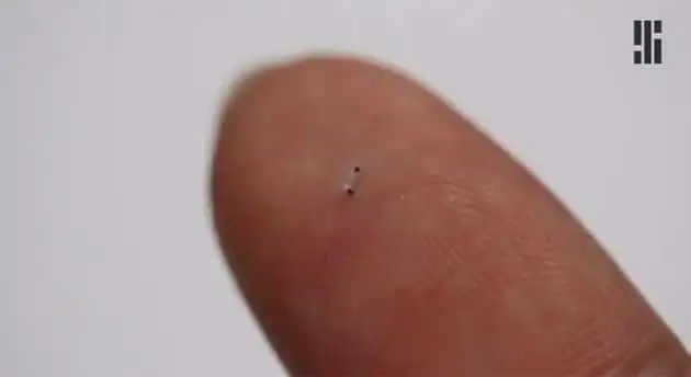 robotic microscallops
