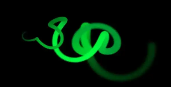 d worm pr