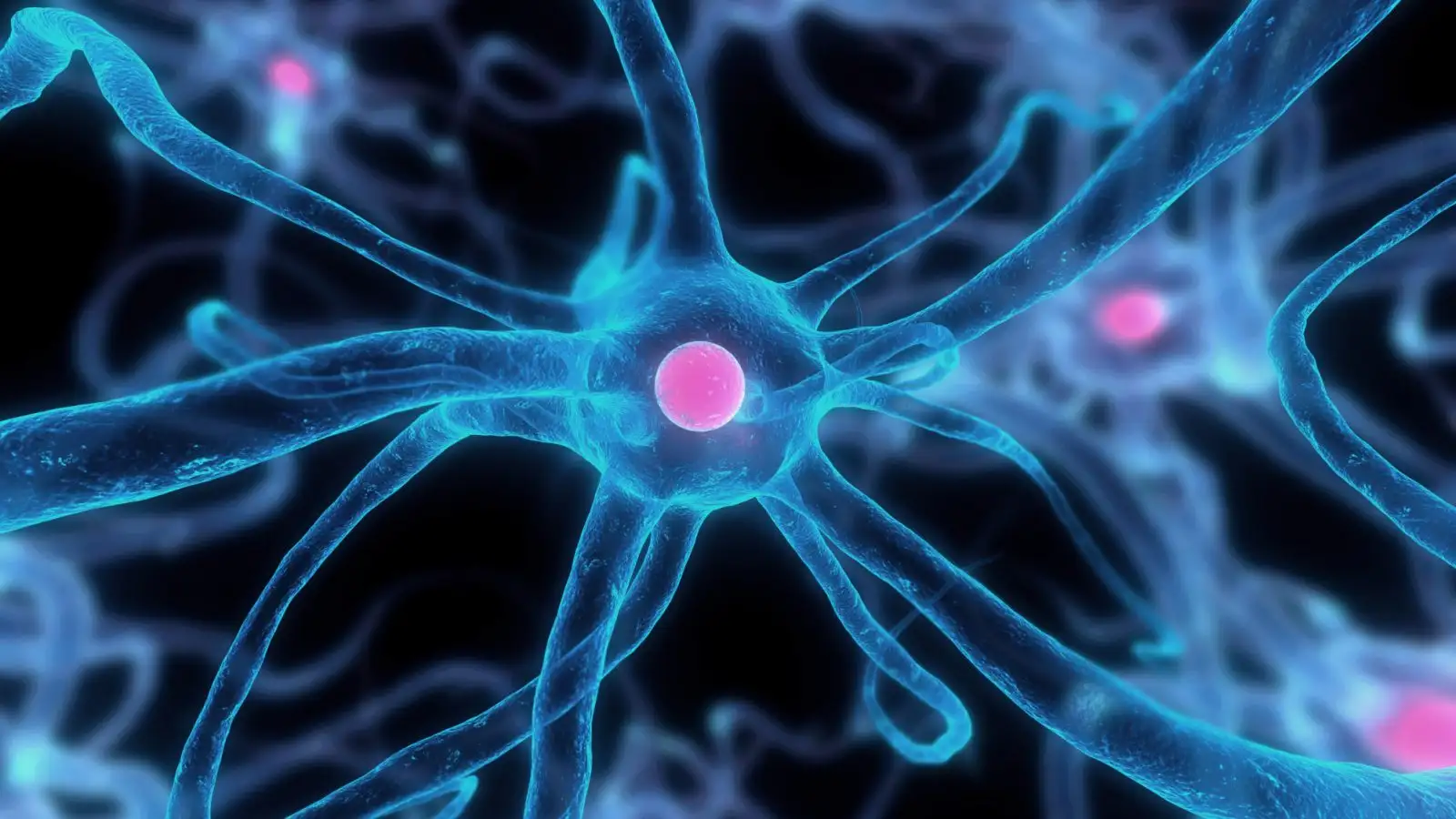 neuron