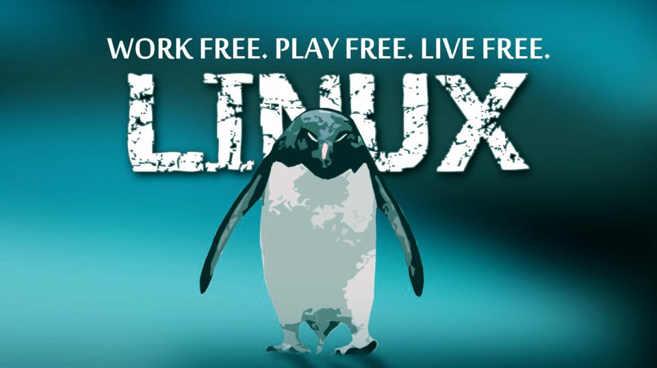 Linux features