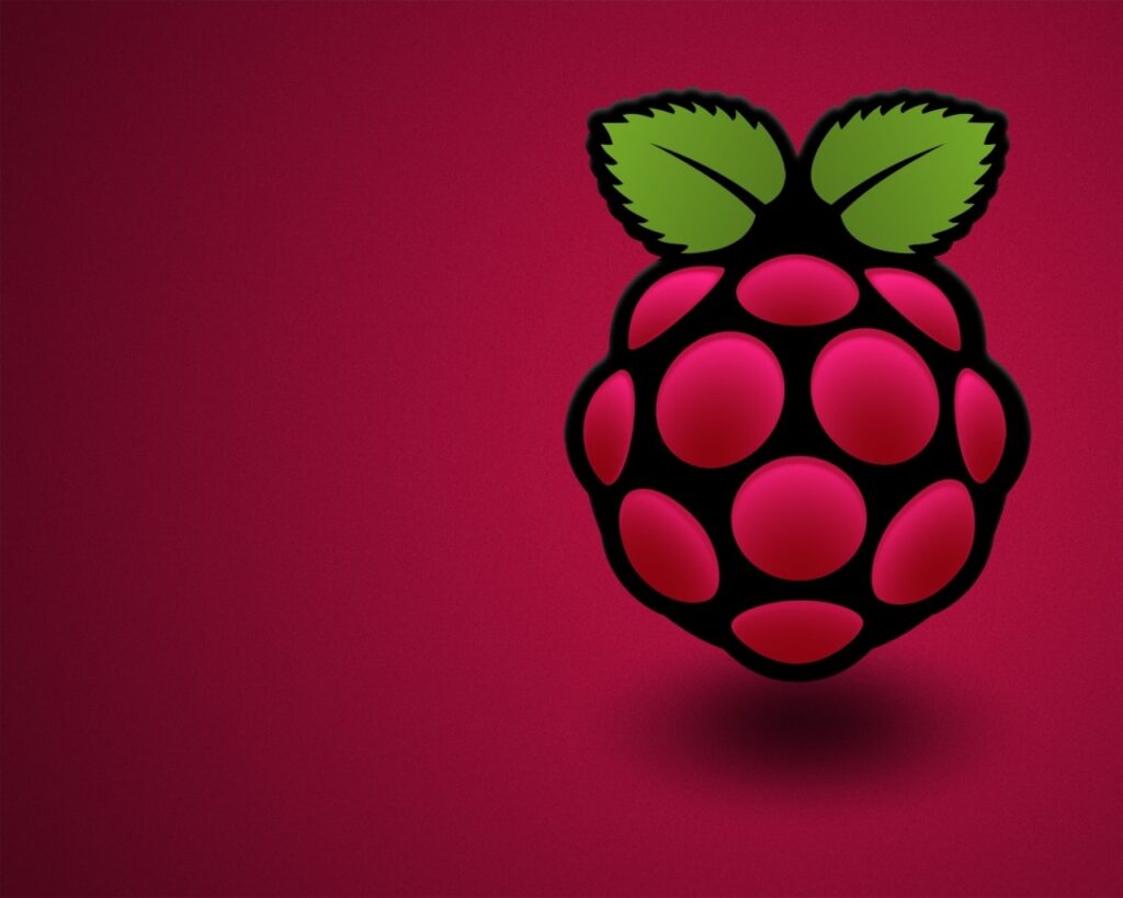 Raspberry Logo