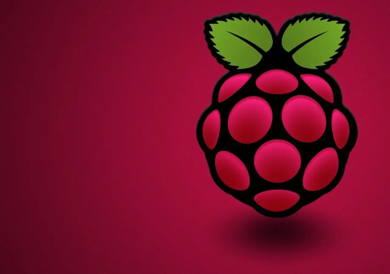 Raspberry Logo