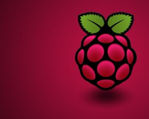 Raspberry Logo