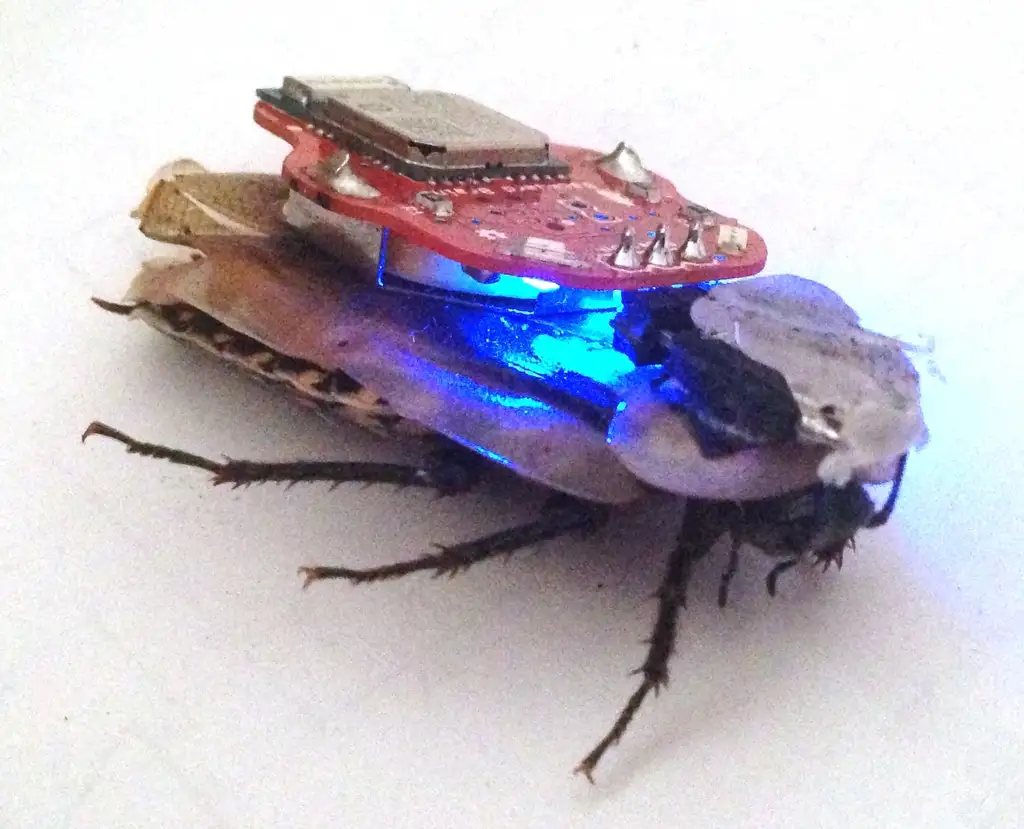 RoboRoach ConnectionLights RoboRoach-ConnectionLights