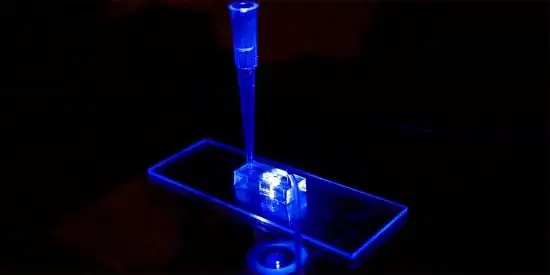 organ chip