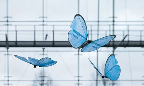 eMotionButterflies V px