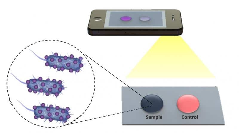New accessory can facilitate your smartphone in diagnosing HIV - 3
