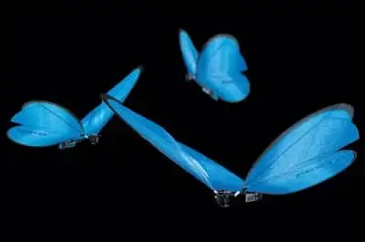festo butterflies festo butterflies