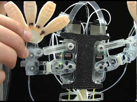 This geckobot can pull 100 times its weight - 36