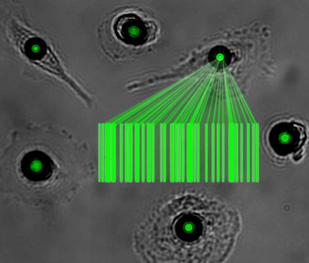 cellular barcode x