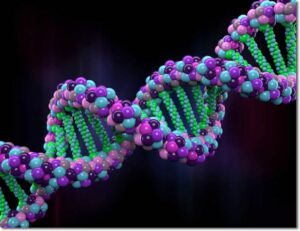 DNA Human Genome and Genes Ownership