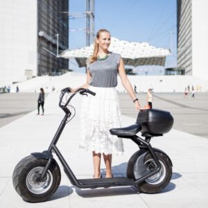 egroov wd scooter