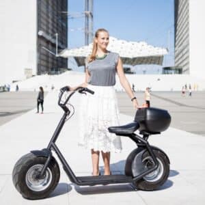 egroov wd scooter