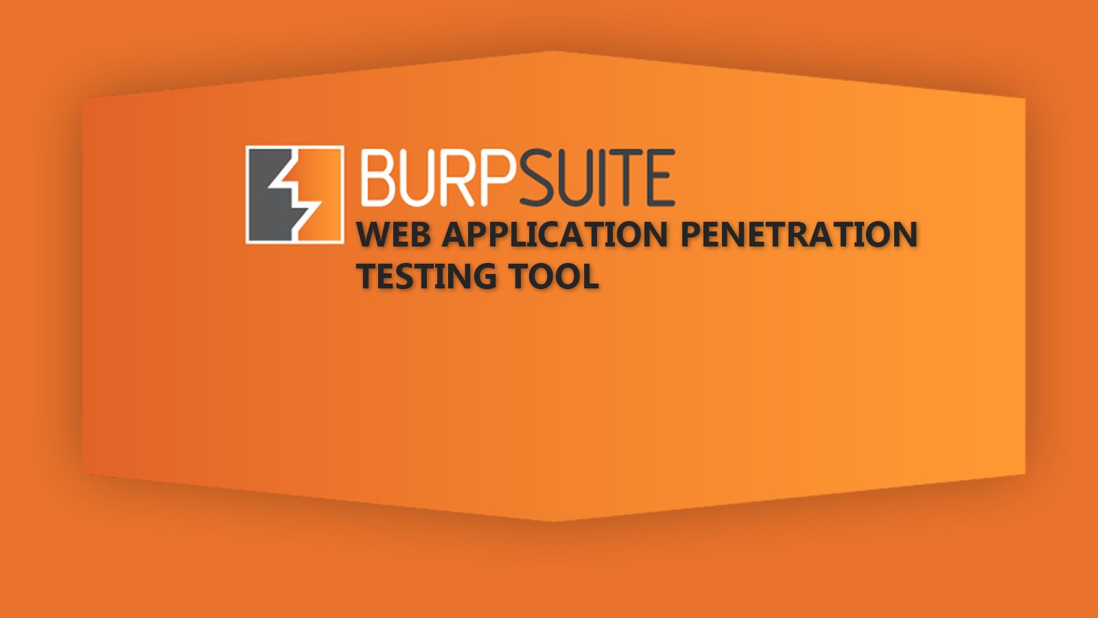 Burp-Suite