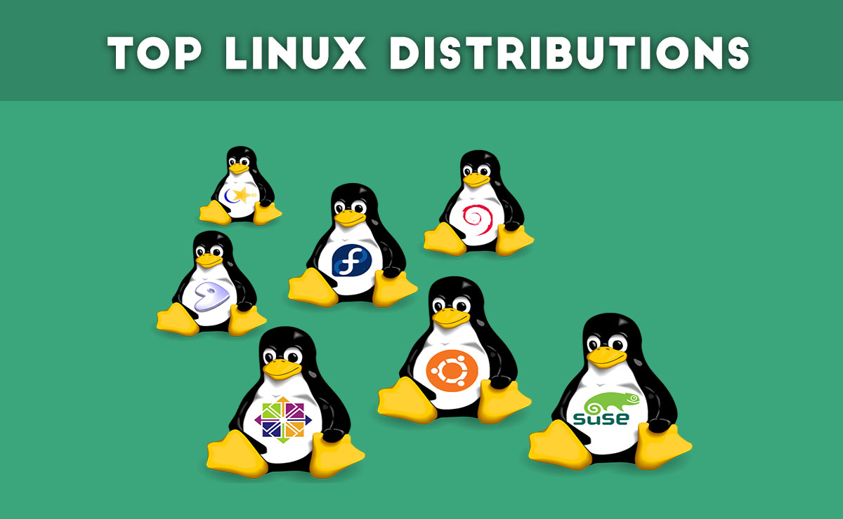 Lake Taupo Væsen Eve Top 10 Most Popular Linux Distributions of All Time