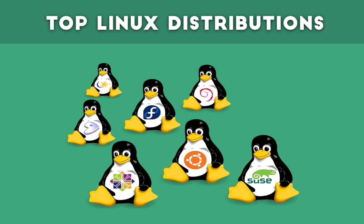 10 Most Popular Linux Distributions of All Time