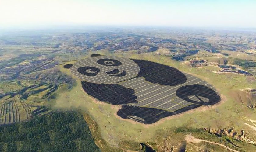 china panda shaped solar farm