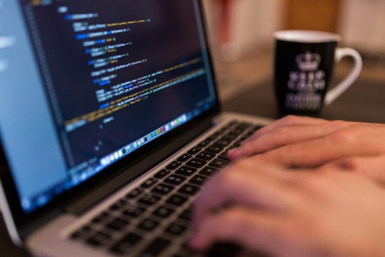 10 Best Programming Websites for Beginners in 2025