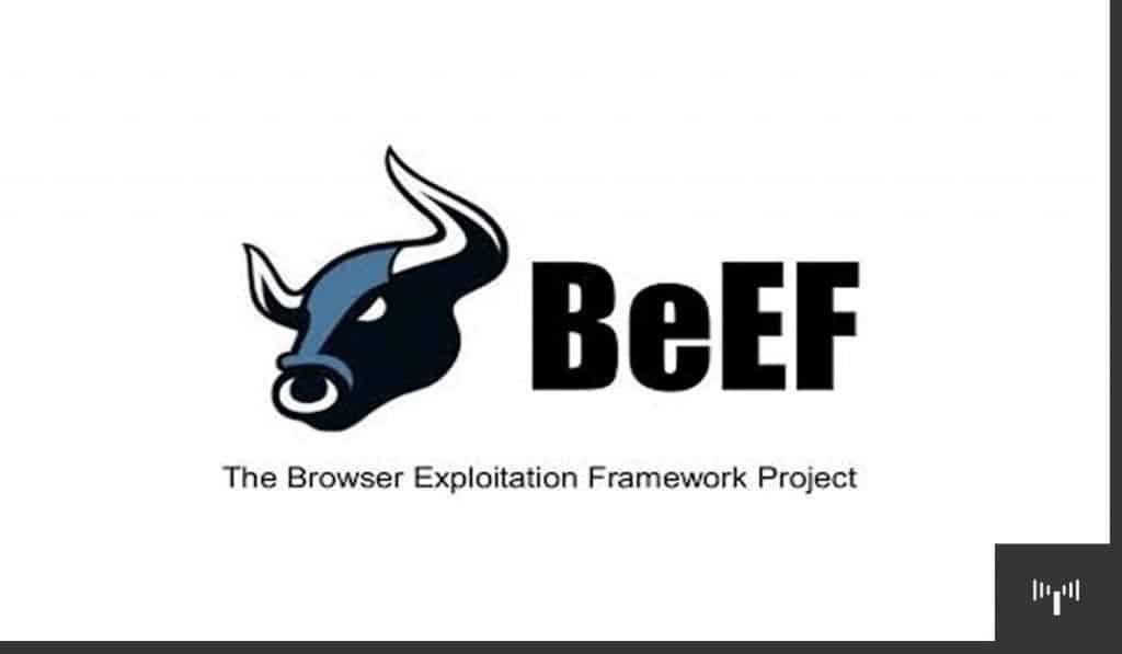 BeEF - Kali Linux Tools