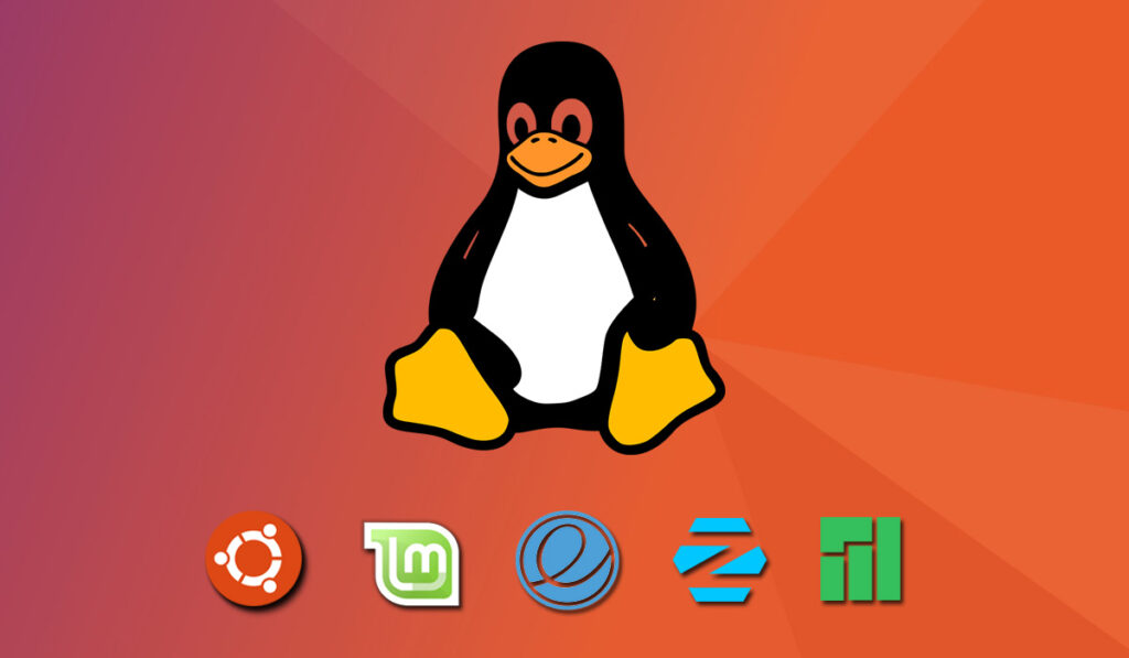 Top 5 Best linux distributions for newbie