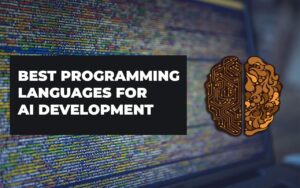 Programming languages for AI Development-compressed