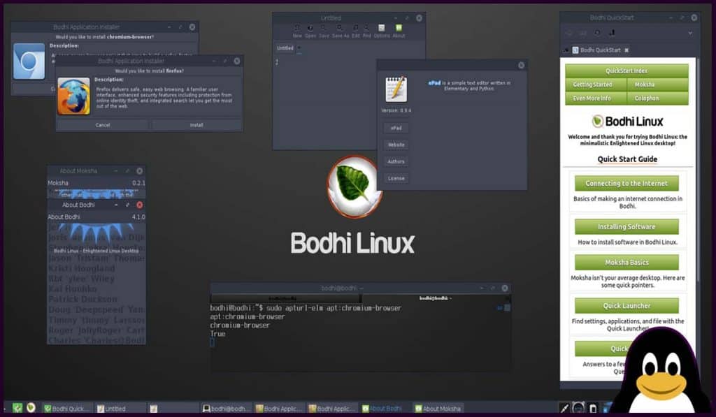 bodhi linux