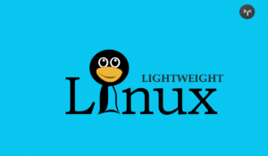 lightweight linux distros
