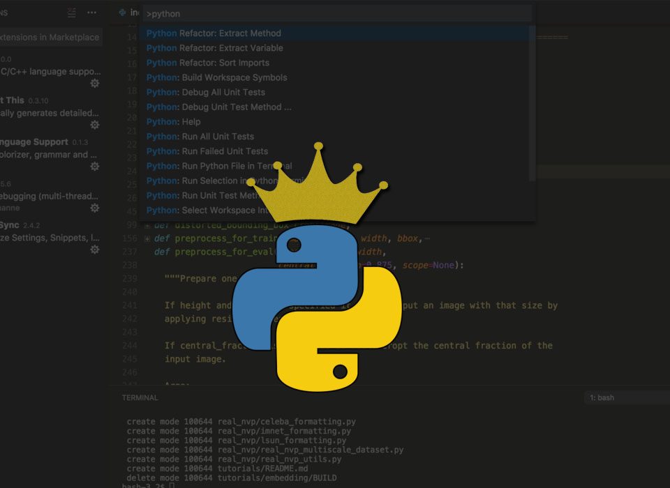 python programming