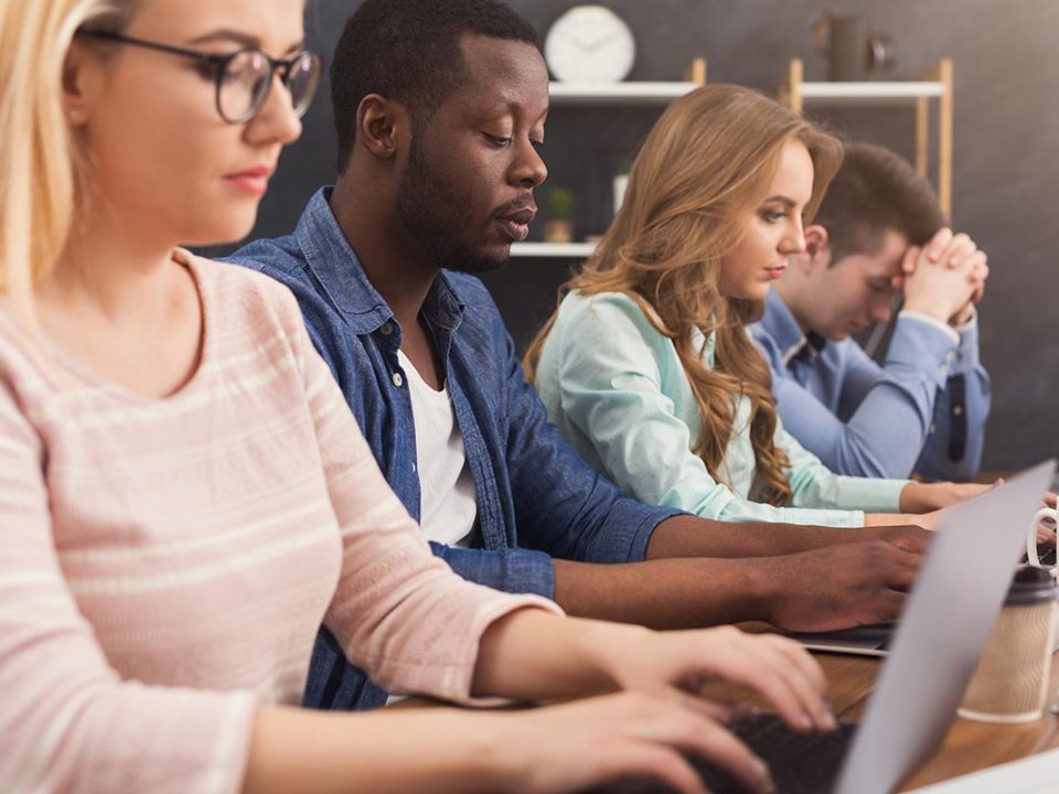 Programmers working in software developing company