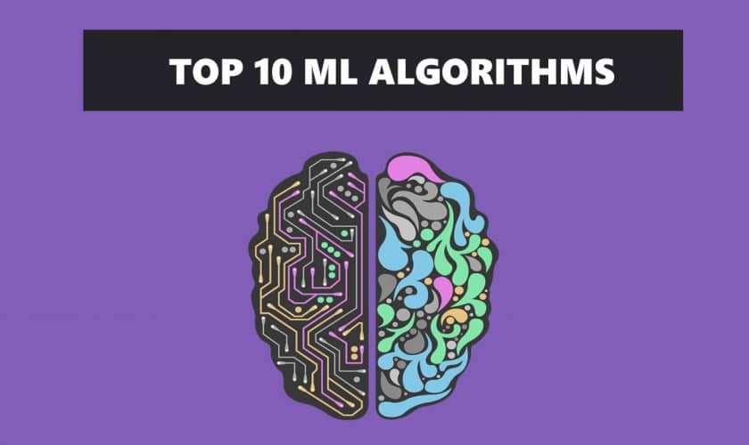 top 10 machine learning algorithms
