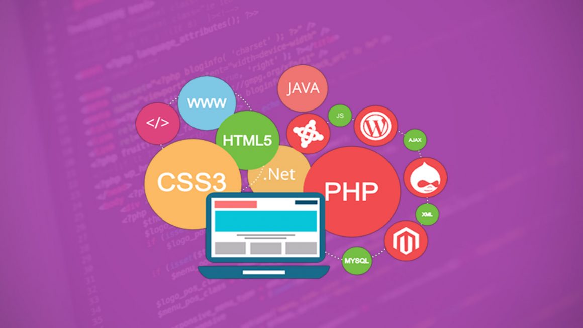 Best Web Frameworks in Popular Programming Languages