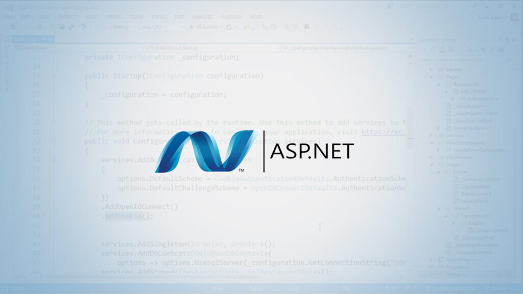 ASP net for programmers