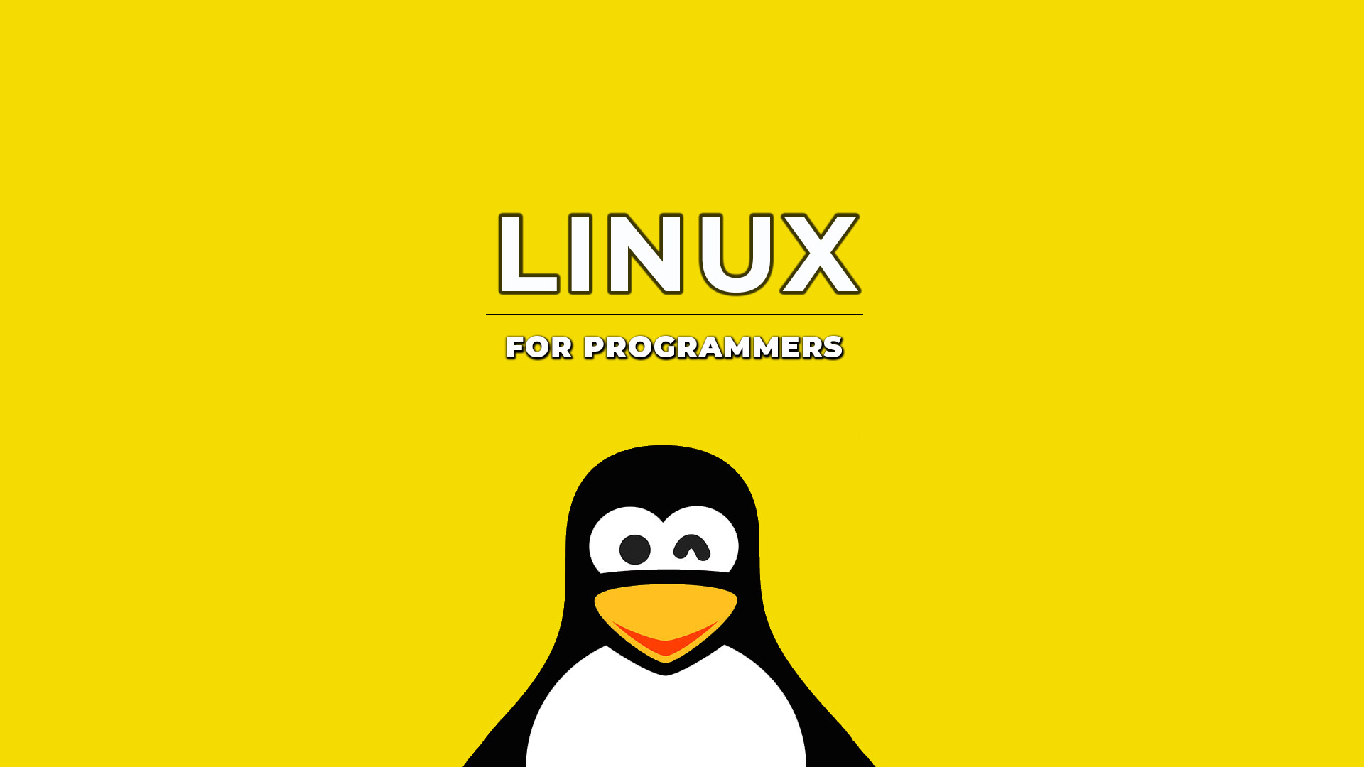 best linux distros for programmers in 2019