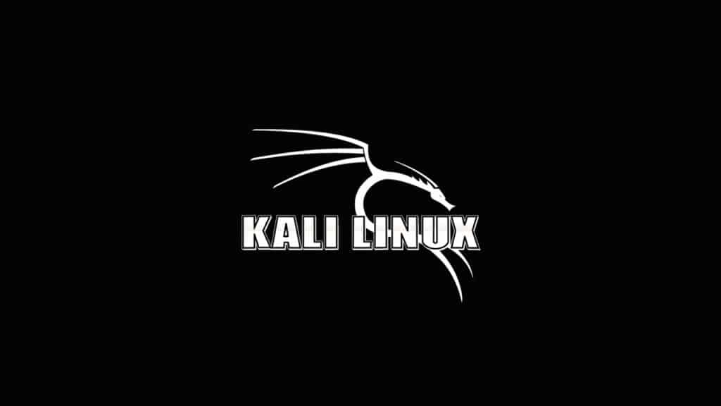 kali linux 2019 1