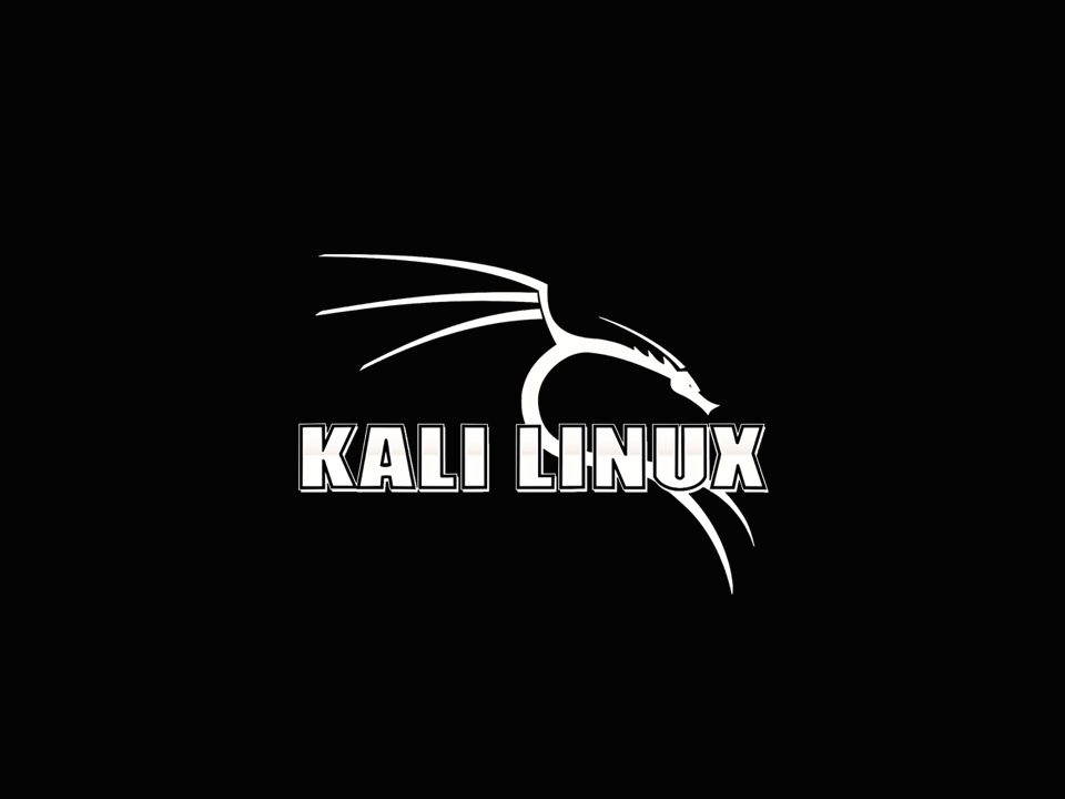 kali linux 2019 1