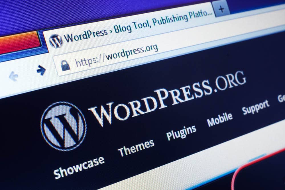 The Benefits Of Using WordPress For Starting A Blog - 13