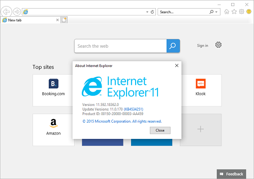 Internet Explorer screenshot
