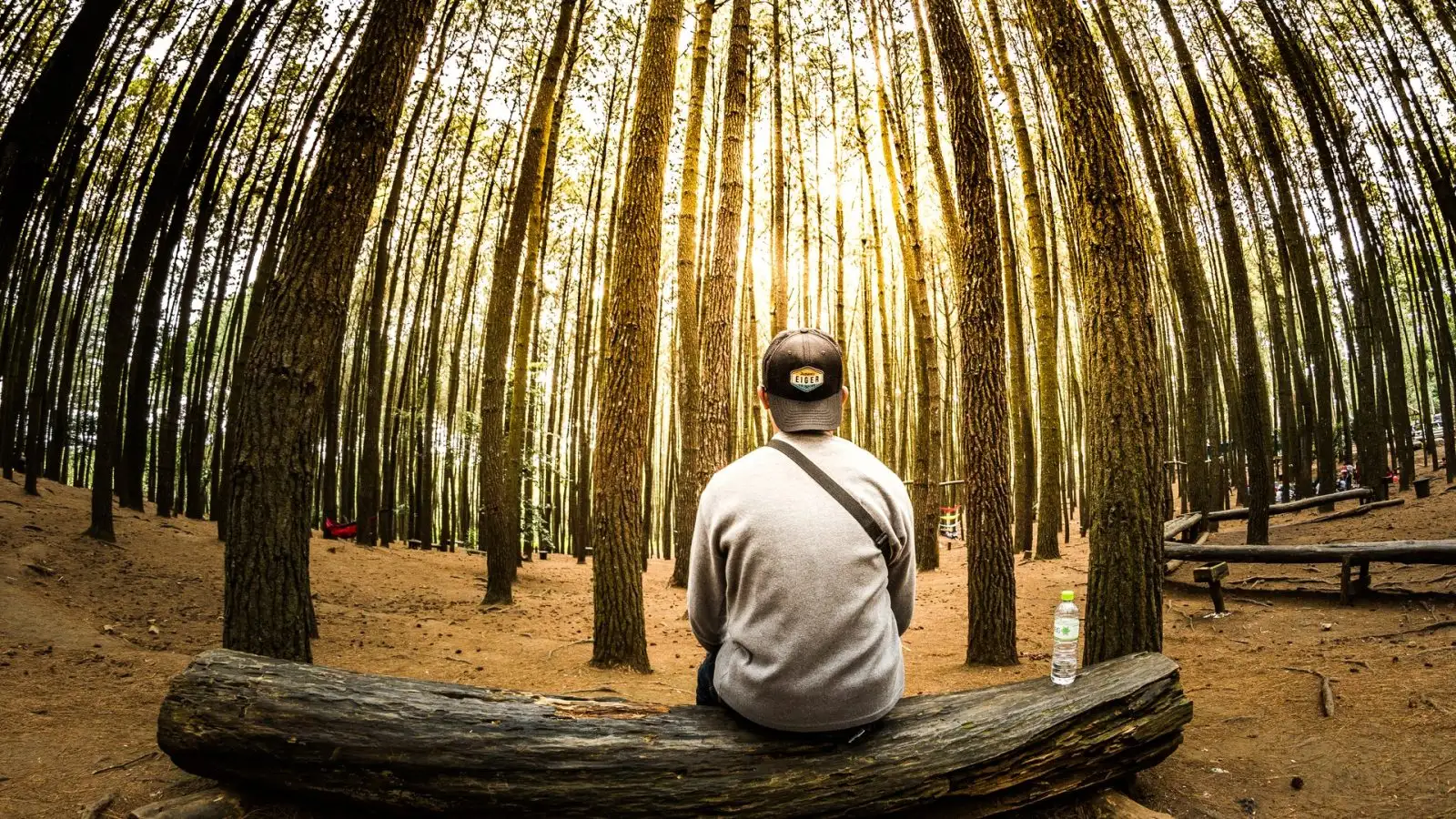 pexels rangga aditya armien