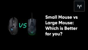small mouse vs large.jpg