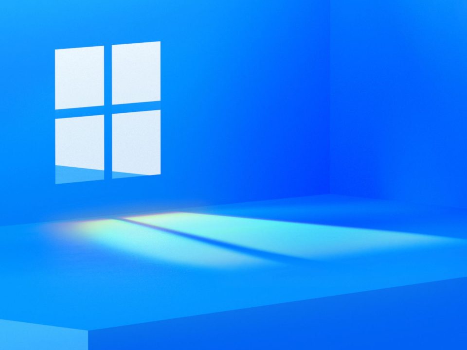Windows 11