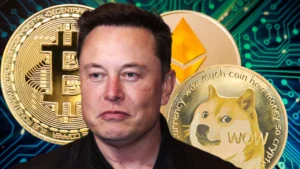 Elon Musk Dogecoin