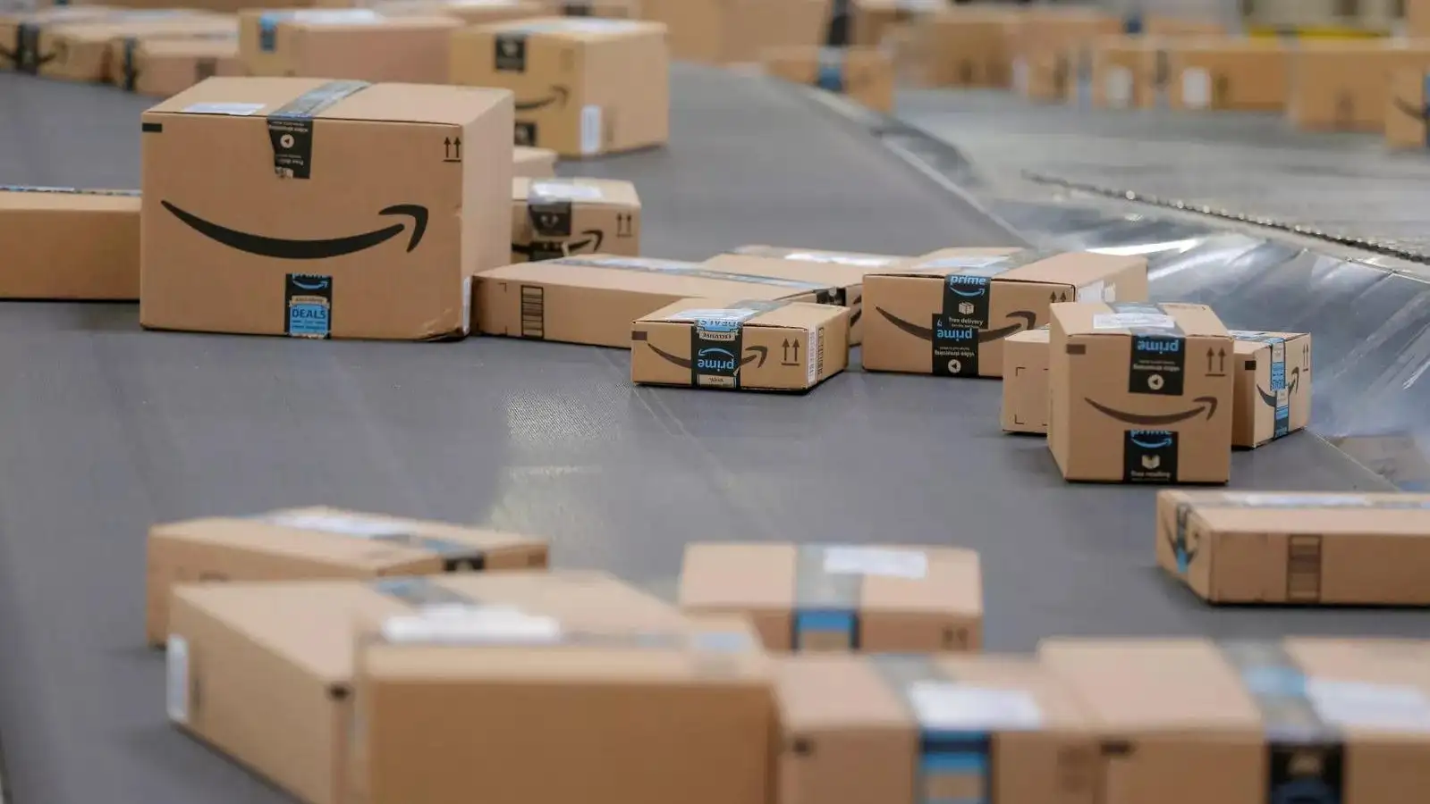 Cloudtail Amazon