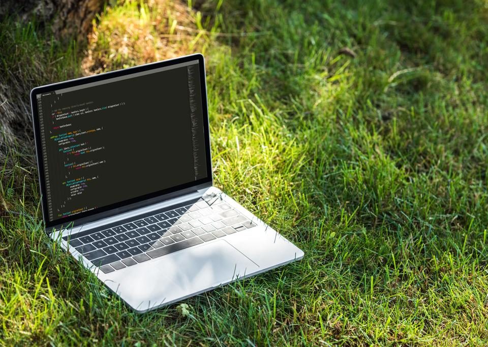 The Most Popular Programming Languages of 2021