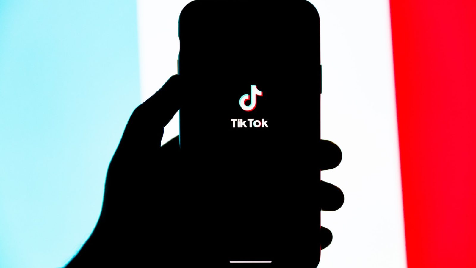 TikTok Bytedance