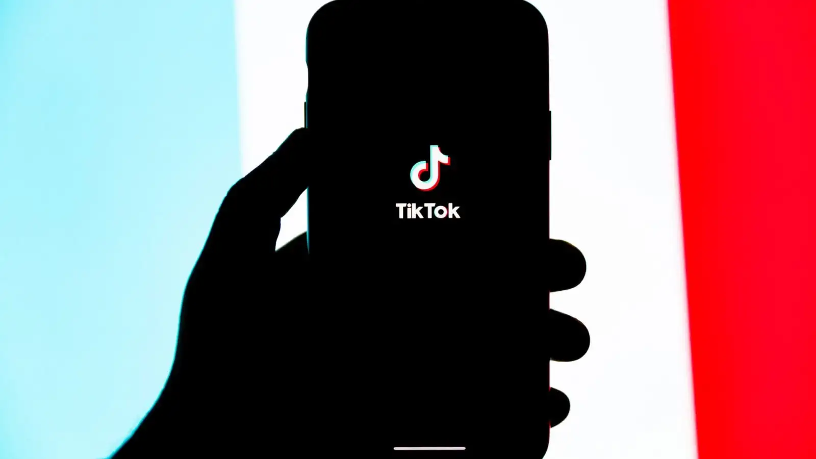 TikTok Bytedance