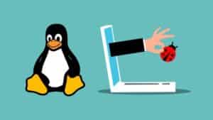 Linux programmers beat Apple an Google is bug fixes x