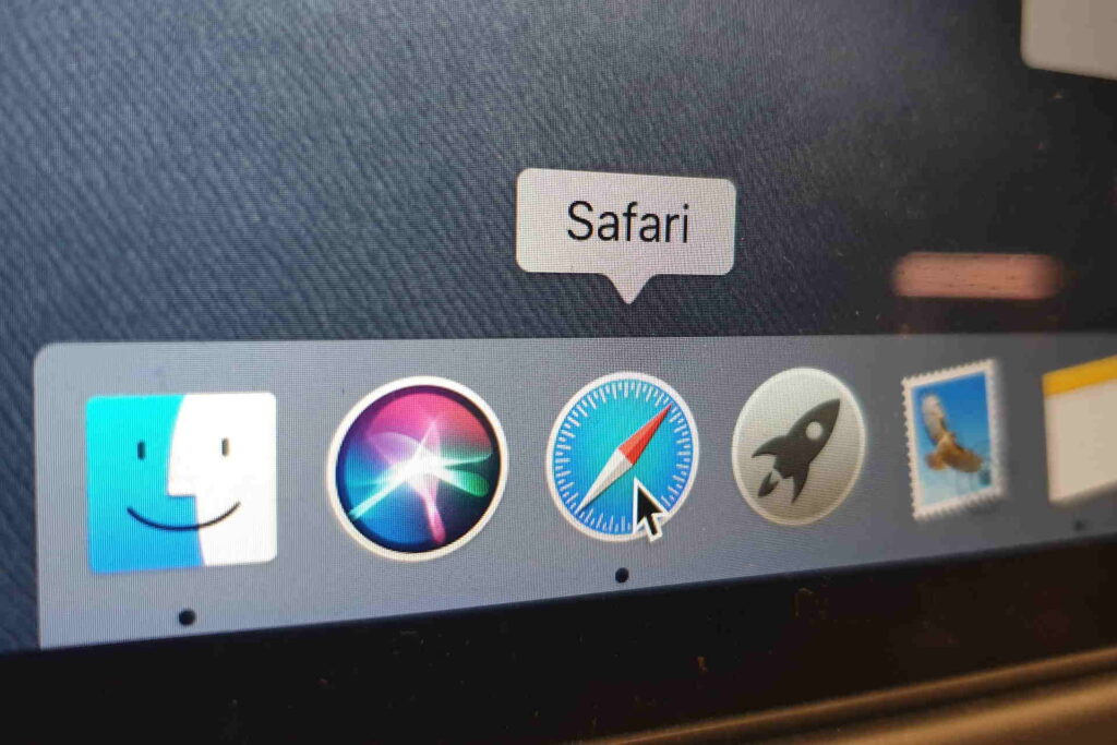 Safari